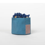 Match Striker- 8 Colours